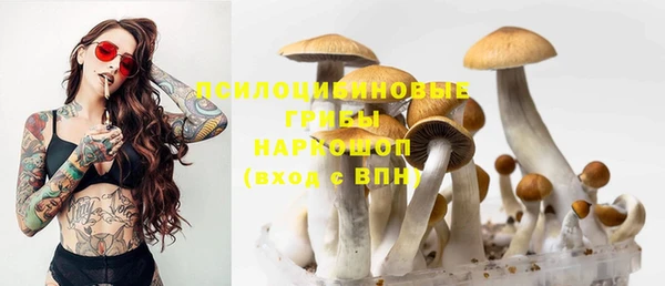 гидра Верхний Тагил