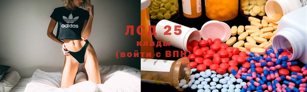 эйфоретик Бородино