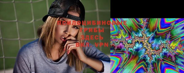гидра Верхний Тагил