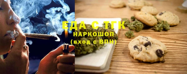 гидра Верхний Тагил
