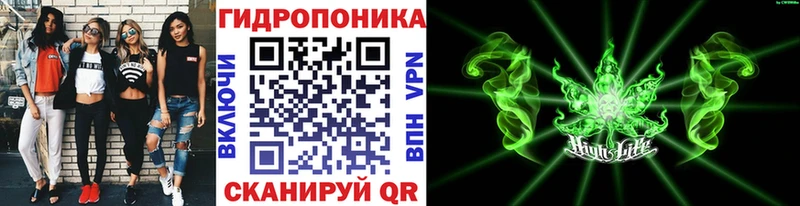 blacksprut ссылка  Егорьевск  Конопля индика 
